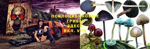 СК Алексеевка
