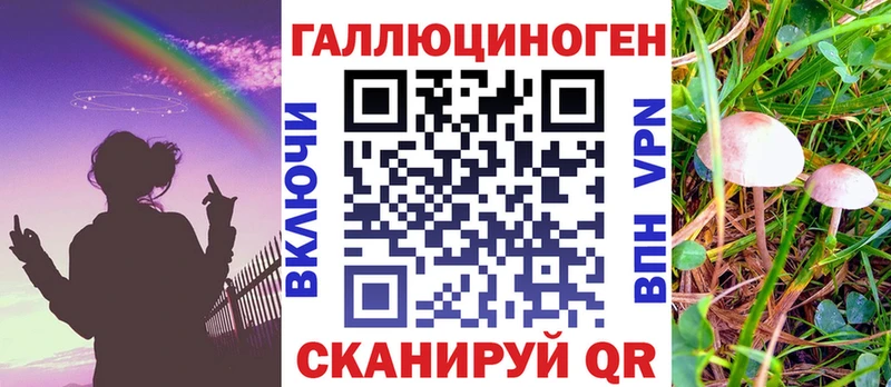Псилоцибиновые грибы Magic Shrooms  где купить наркоту  Николаевск 